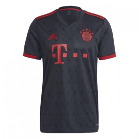 Fotbalové dres FC Bayern Mnichov Kimmich 6 Alternativní 2022-23 Krátký Rukáv